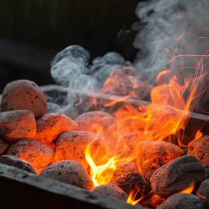 tenweb_media_RLEVXZIDN